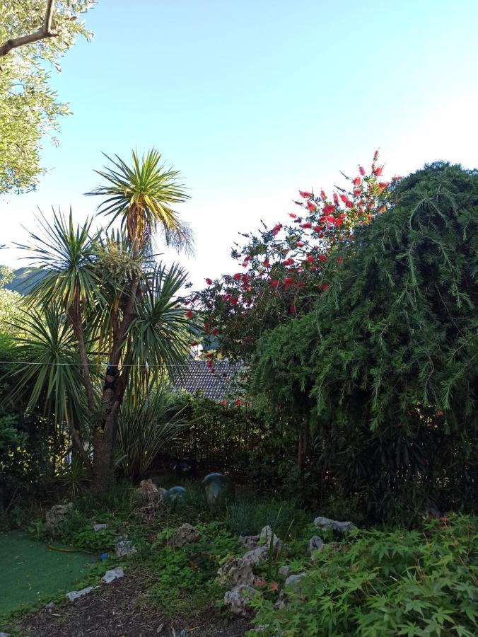 Il Glicine Cozy Appartamnent, Near Sestri Levante Between Cinque Terre E Portofino Казарца Лигуре Екстериор снимка