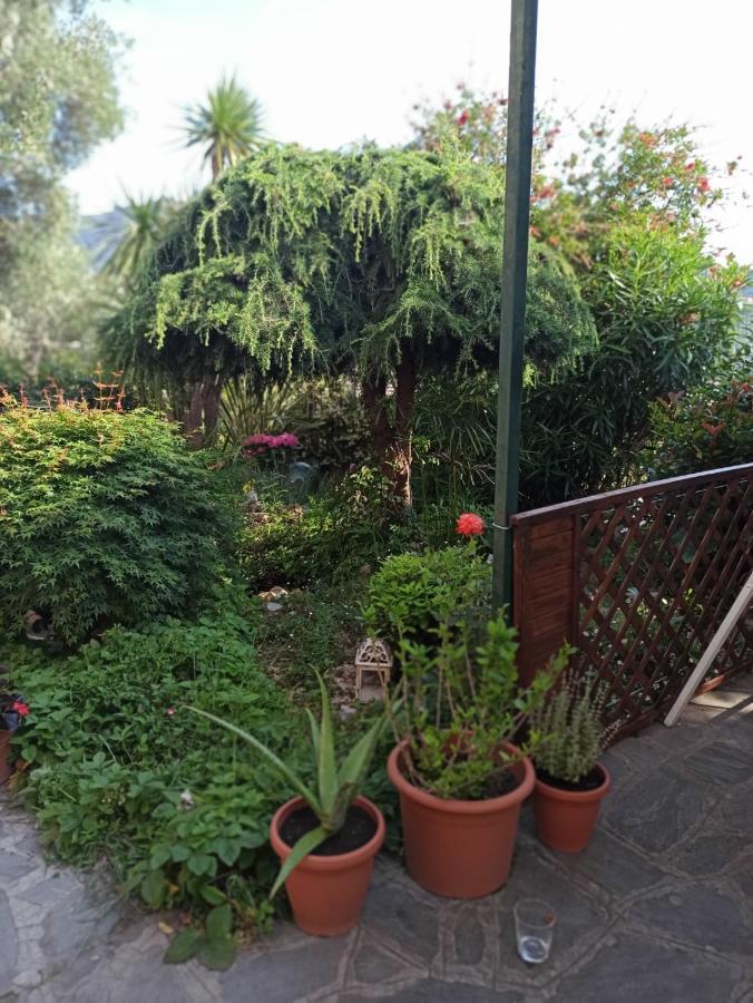 Il Glicine Cozy Appartamnent, Near Sestri Levante Between Cinque Terre E Portofino Казарца Лигуре Екстериор снимка
