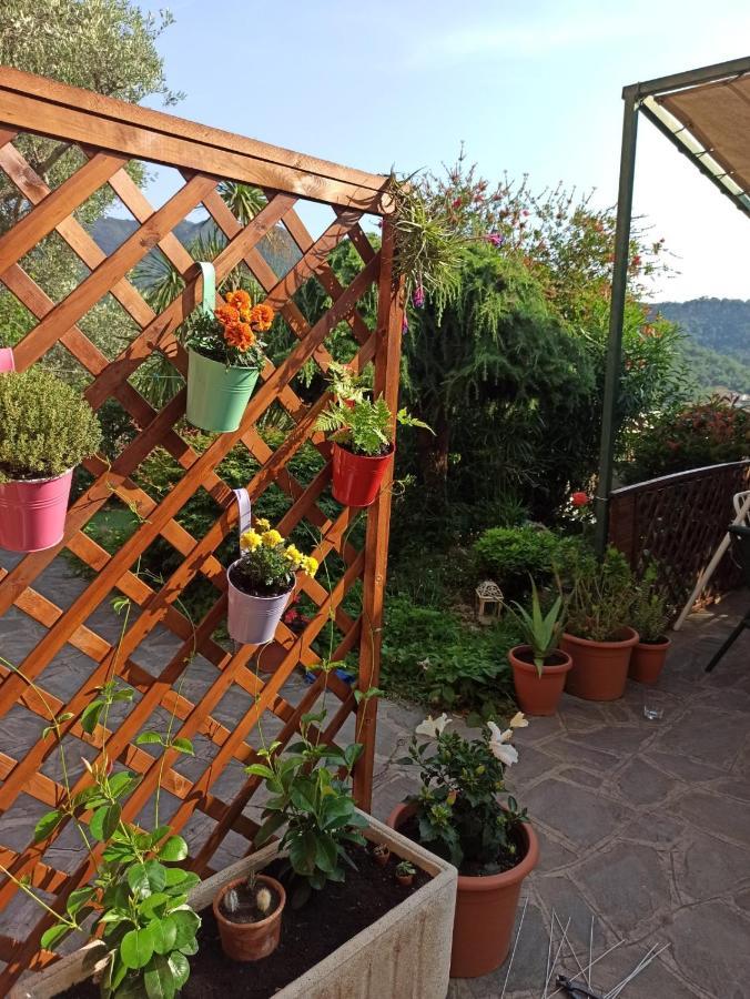 Il Glicine Cozy Appartamnent, Near Sestri Levante Between Cinque Terre E Portofino Казарца Лигуре Екстериор снимка
