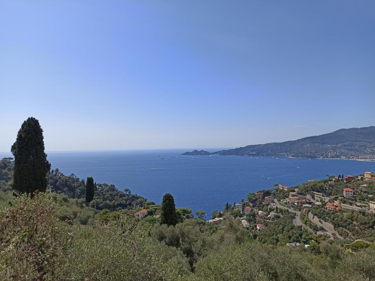 Il Glicine Cozy Appartamnent, Near Sestri Levante Between Cinque Terre E Portofino Казарца Лигуре Екстериор снимка