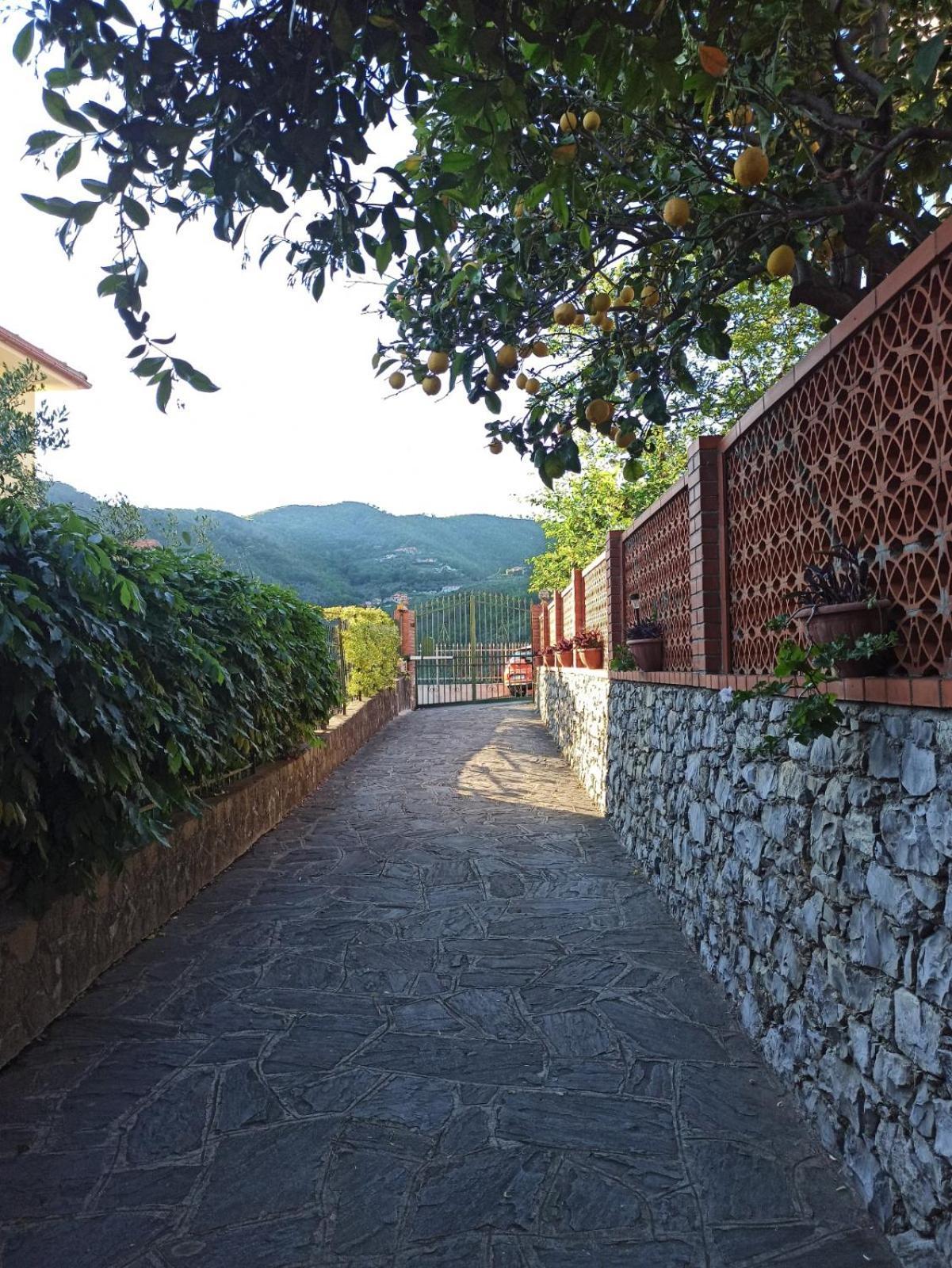 Il Glicine Cozy Appartamnent, Near Sestri Levante Between Cinque Terre E Portofino Казарца Лигуре Екстериор снимка