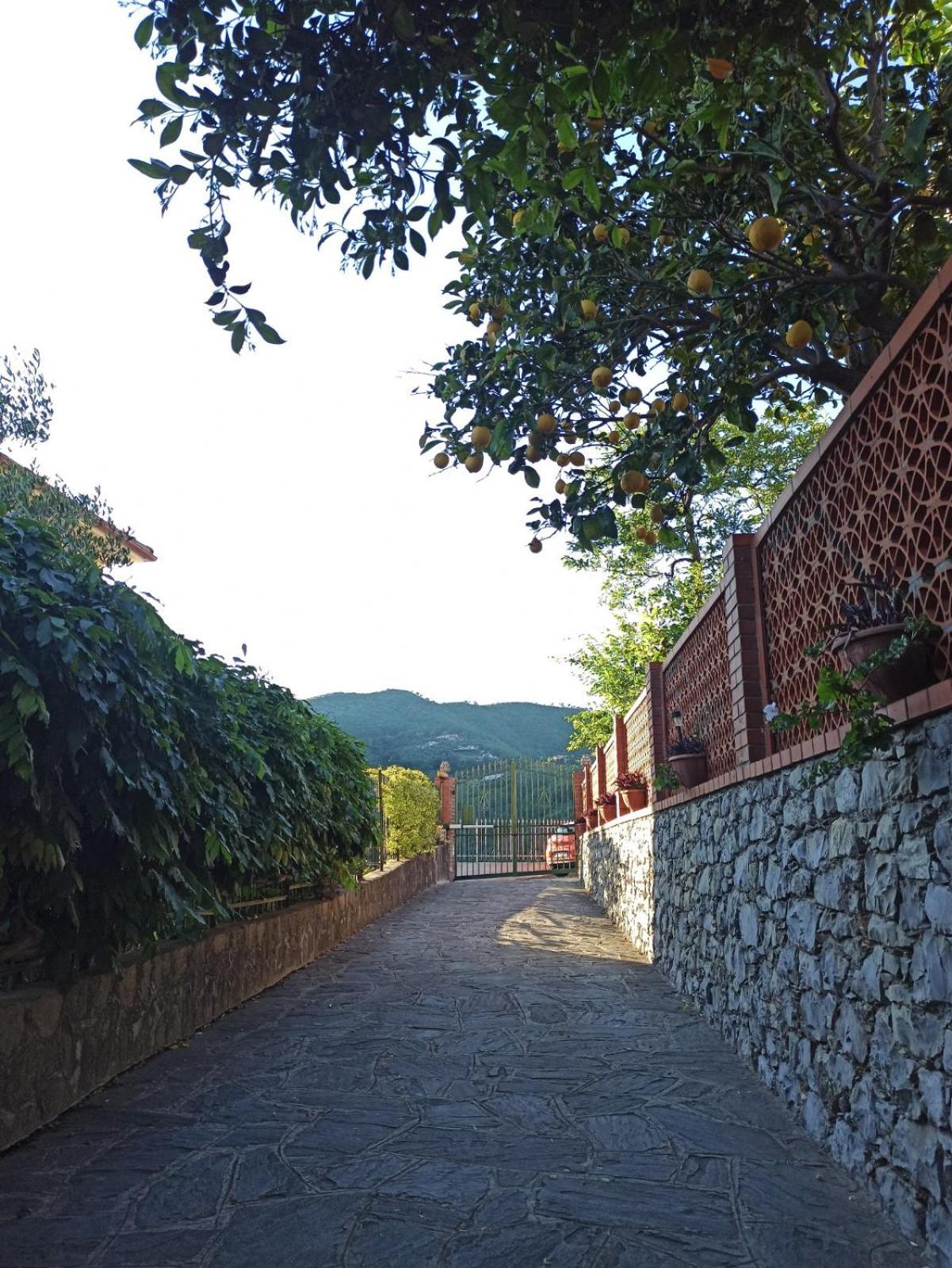 Il Glicine Cozy Appartamnent, Near Sestri Levante Between Cinque Terre E Portofino Казарца Лигуре Екстериор снимка